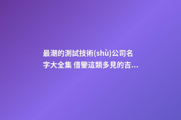 最潮的測試技術(shù)公司名字大全集 借鑒這類多見的吉名